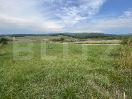 Teren de v&acirc;nzare &ndash; zonă Subcetate, aproape de str. Tărp