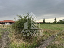 Parcela 707 mp in Sacalaz langa cartierul Primaverii