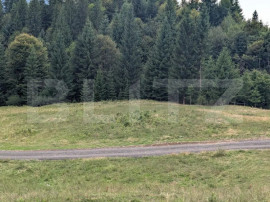 Teren intravilan de v&acirc;nzare &icirc;n Colibița &ndash; oportunitate