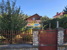 De casa Stefanesti cetate ....curte amenajata teren 100