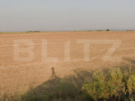 Oportunitate Investitie Teren Deschidere 30mp ,Carcea, Zona