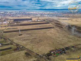 11.600 mp in Sfantu Gheorghe,deschidere: agroturism, investi