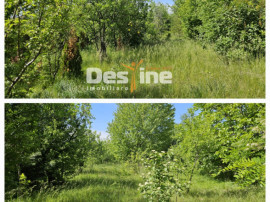 Tomesti-Chicerea, teren intravilan 3523 mp