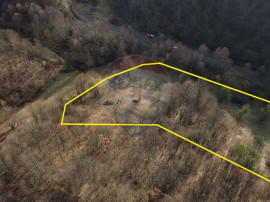 Poiană pentru cabana de vanzare intravilan Coas