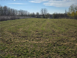Teren intravilan, 3751mp oportunitate de investitie, cu util