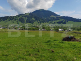 Ofertă de v&acirc;nzare teren, URGENT, Dorna Candrenilor