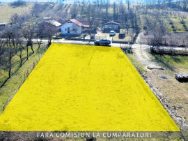 TEREN 872 MP, ZONA LINISTITA, AER CURAT