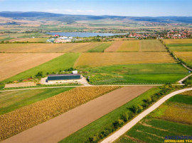 FILM! 18.000 mp, extravilan, agricol constructii:ferma,inve