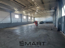 Hala industriala Calea Surii Mici