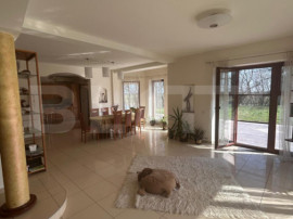 Vila Remetea Mare 380mp utili, 3982 mp teren