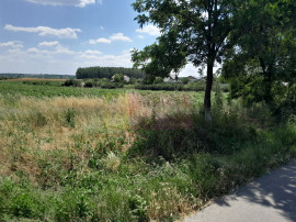 DE VANZARE 2 LOTURI LIPITE (TOTAL 16.500 MP) IN SAT TEISO...