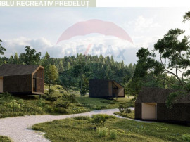 10.51 Euro + TVA / mp: Teren Bran Predelut, 24.253 mp, in...