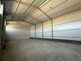 Zona industriala Hala Noua,ideala depozitare zona logistica.