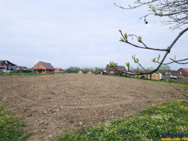 Teren 1.700 mp intravilan, natura, vecinatati bune, potentia