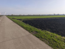 Teren extravilan, 9300mp, 55ml deschidere la drum, Satu Mare