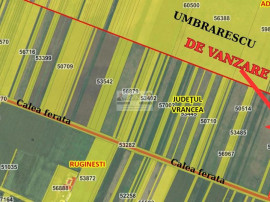 Teren agricol Ruginesti/La granita cu Umbrarescu