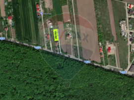Teren intravilan, langa padure, 752 mp, Bolintin-Deal