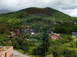 Valea Borcutului,Teren intravilan de vanzare, intre case