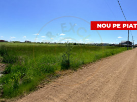 Teren de v&acirc;nzare &icirc;n Comuna Bradu -central&ndash; Strada Frați