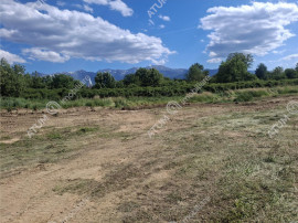 Teren intravilan de 2679 mp in Porumbacu de Sus din Sibiu