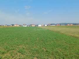 Teren intravilan 2500 mp de