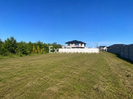 Teren intravilan 530 Mp | Albota