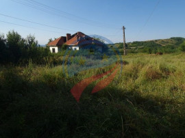 Teren 8 227 mp + Casa demolabila de vanzare in Filiasi - ...