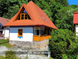 De Vanzare CABANA Valea Neagra, spre Statiunea Izvoare
