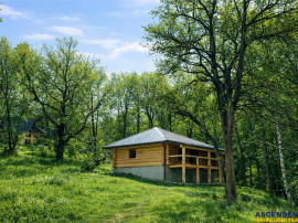 3.000mp de incantare montana cu cabana din lemn masiv, Zarne