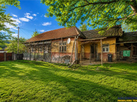 FILM! Casa si anexe, pe domeniu de 6.221mp, livada pomi fru