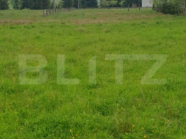 Teren de vanzare, 15.180 mp (9943 mp intravilan), zona Saru