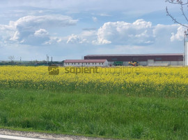 Sapient | Teren Agricol Intravilan zona Bors ,localitate ...