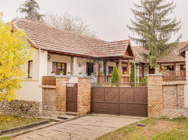 Casa rustica deosebită in satul Miniș
