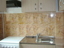 Garsoniera de inchiriat zona Medicinei