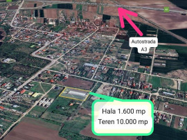 Hala 1.600 mp + Teren 10.000 mp de vanzare Caciulati/Ilfov