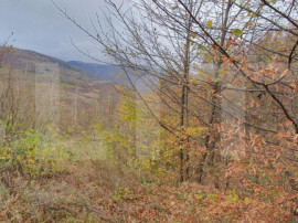Teren Muntele Rece 3000mp, Intravilan utilitati