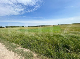 Teren cu suprafata de 8000mp ,situat in Mitocu Dragomirnei,z