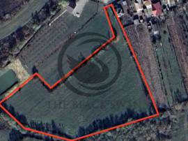 Teren Vanzare 11.000 MP Ghirdoveni | Comision 0%
