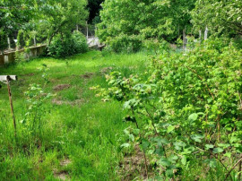 Teren intravilan Faget