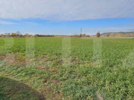 Teren in Razvad intravilan 1400mp cu acces la curent electri
