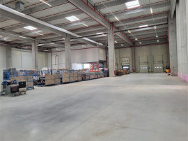 Depozit/hala/spatiu industrial Mogosoaia - Centura, Ilfov