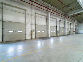Spațiu Logistică/Depozitare Clasa A, Buftea