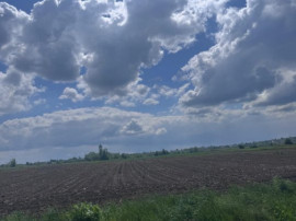 Teren extravilan, 7800mp, Burla