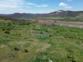 Domeniu - 66 Hectare - Teren deosebit Copsa Mica cu desch...