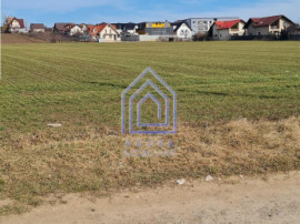 Teren Sfantu Ilie, vis-a-vis Moara