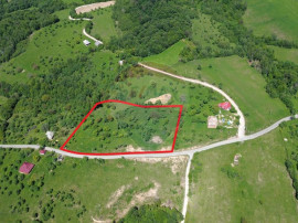 Teren intravilan de vanzare 12,700mp Codru Butesii / Stra...