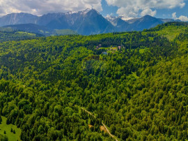 Teren extravlan 14,400mp Paraul Rece / Strada 3 brazi