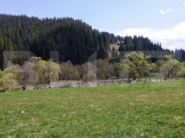 Teren intravilan &icirc;n Vatra Dornei, 1299 mp