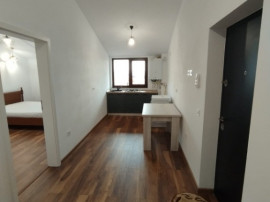 Garsoniera spatioasa decomandata Sanpetru