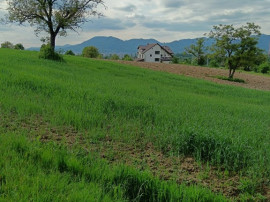 Satu Nou de Sus, 40 ari teren